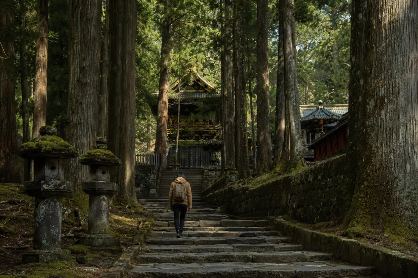 Solo traveler walking through cedar forest toward the Nikko shrine complex