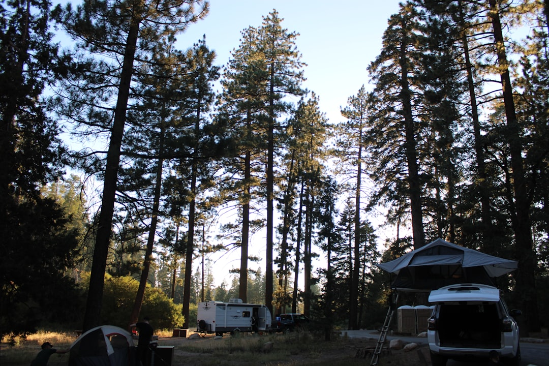 A travel trailer and a vehicle with a rooftop tent in a pine forest — How to Plan the Perfect Camping Trip: A Step-by-Step Guide