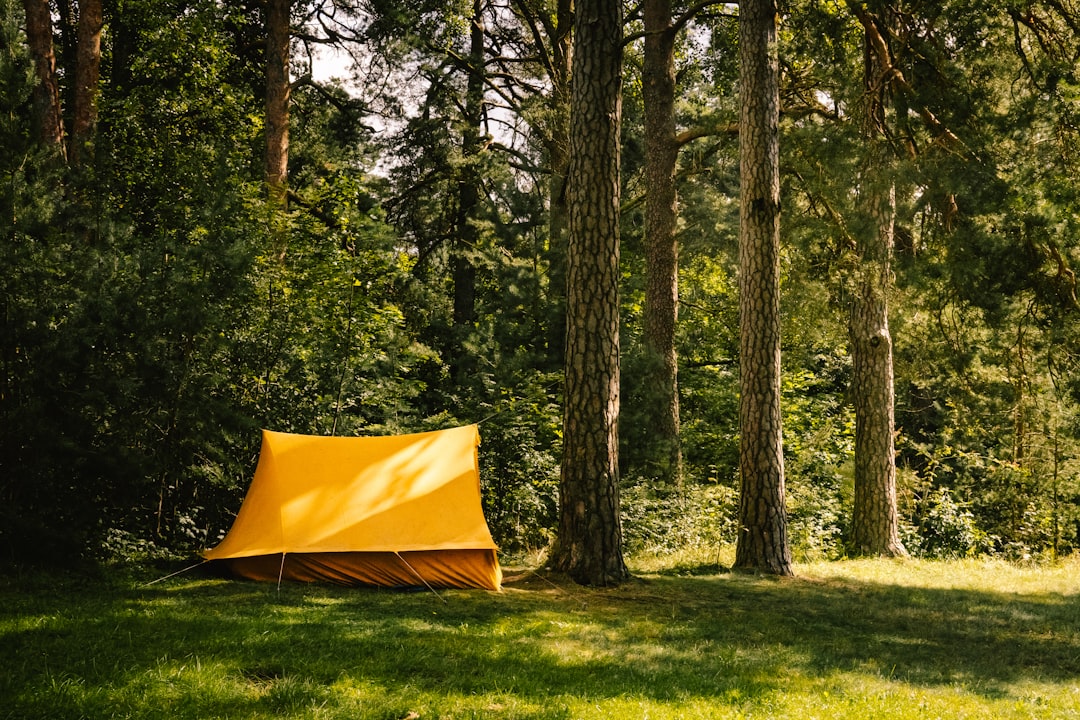 Bright yellow tent standing in a peaceful forest clearing on a sunny day. — How to Plan the Perfect Camping Trip: A Step-by-Step Guide