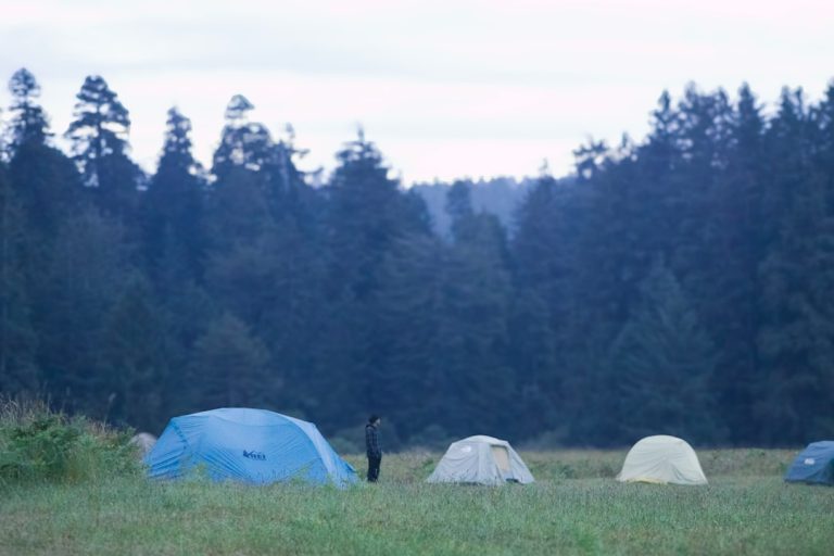 Early morning picture of campers waking up to the dawn chorus of the birds. — how to plan a camping trip
