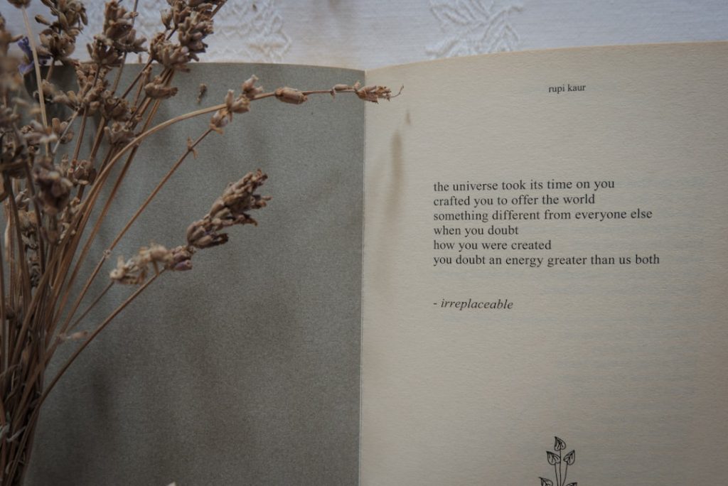 A book opened to a page with a plant in it — shadow work journal prompts