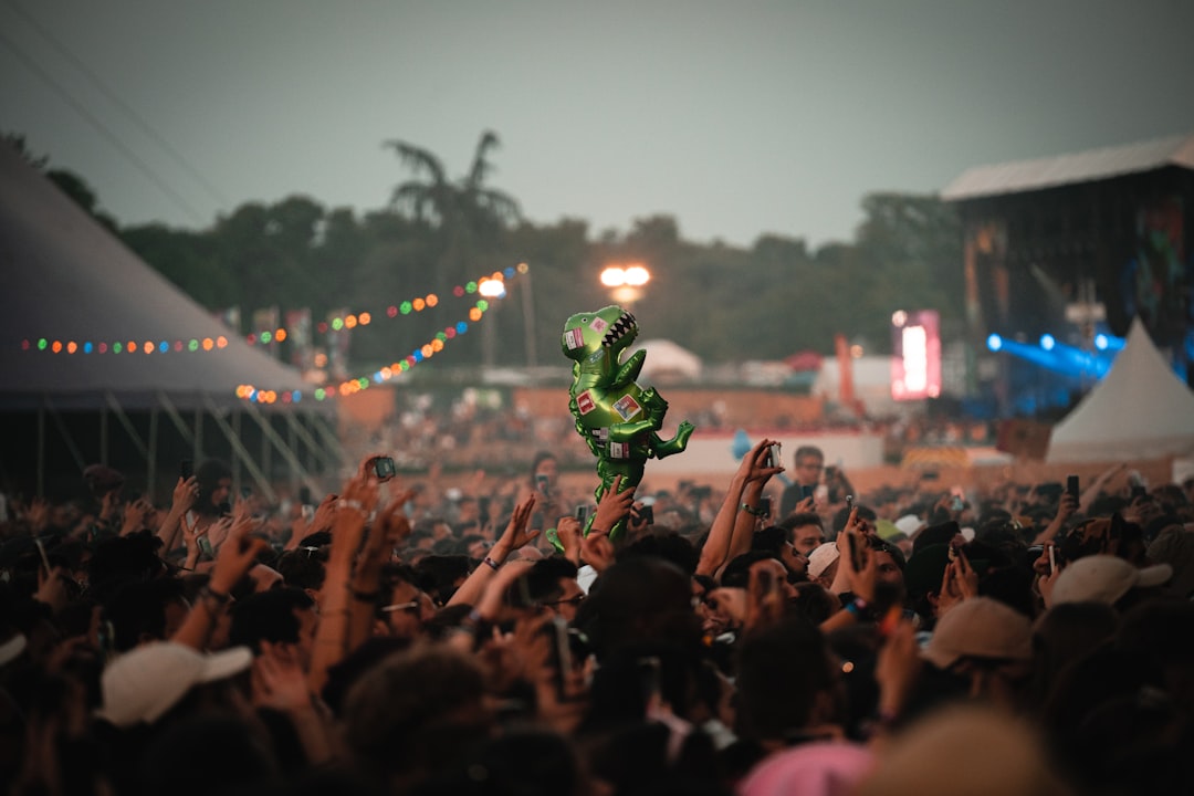 a person on a stage with a crowd watching — The Ultimate Festival Packing List