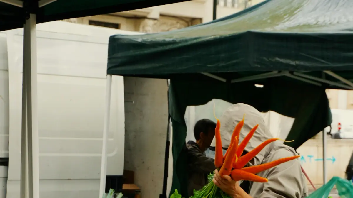 Shopper holding a bunch of carrots at an outdoor produce stall in Campo Pequeno, Lisbon