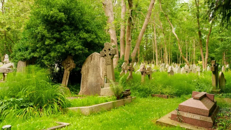 Overgrown Victorian graves and stone monuments among trees at Highgate Cemetery