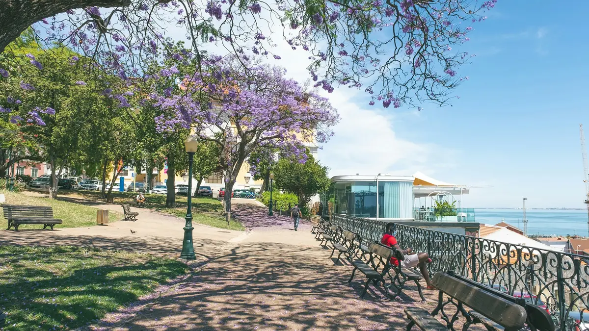 Purple-flowering trees, benches and a waterfront view in Lisbon's Jardim 9 de Abril