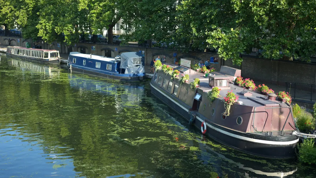 Narrowboats moored along the tree-lined canal at Little Venice in London