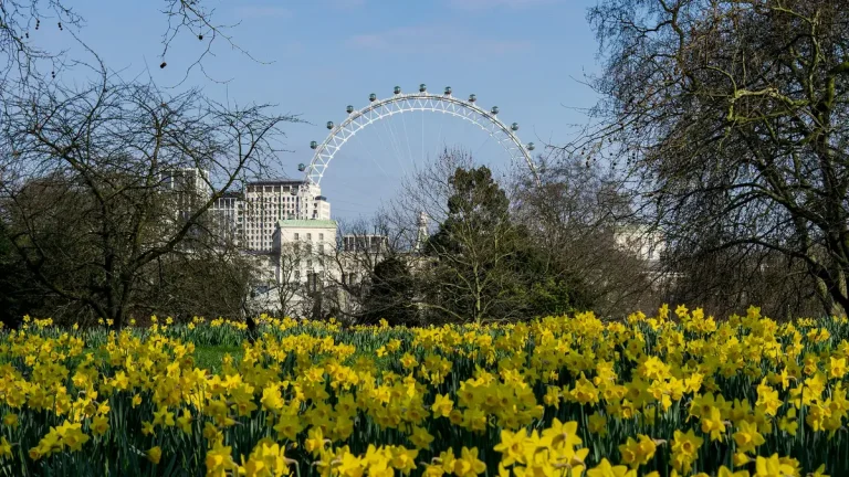 Best Time to Travel to London: Weather, Crowds and Cost