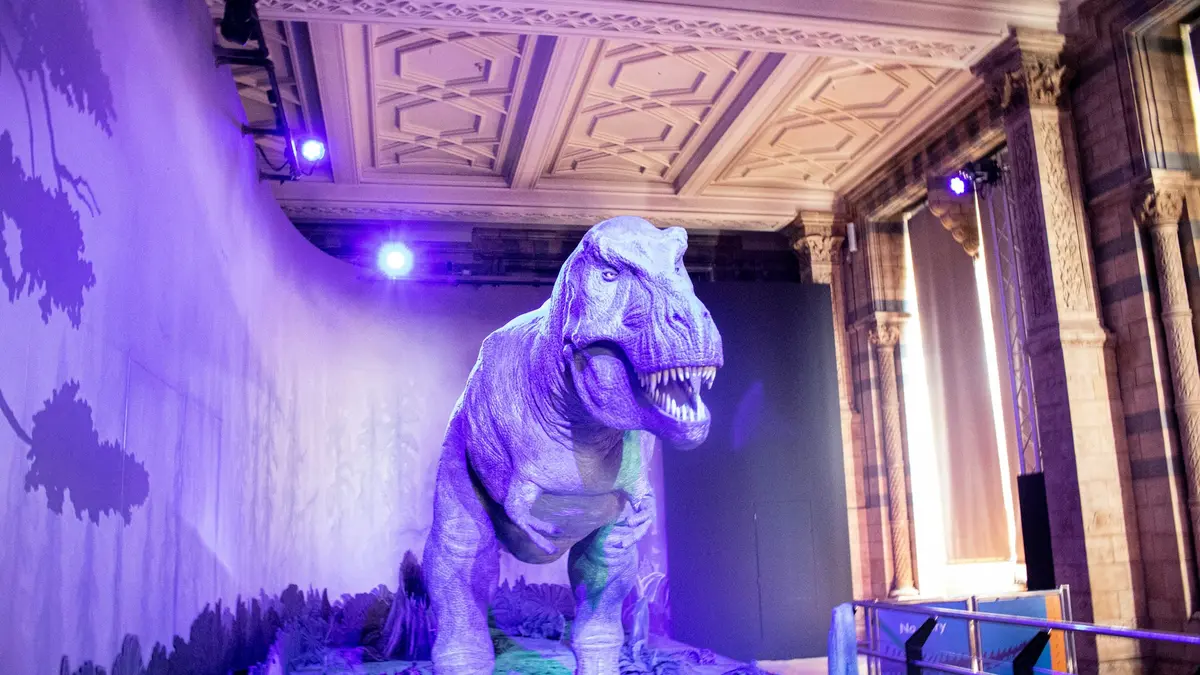 Illuminated Tyrannosaurus rex display at London's Natural History Museum