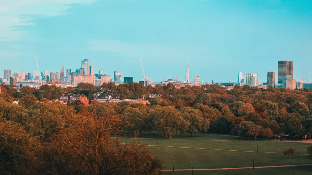 Wide London skyline above orange-brown treetops and green lawns viewed from Primrose Hill