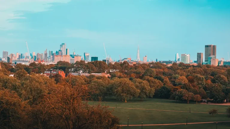 Wide London skyline above orange-brown treetops and green lawns viewed from Primrose Hill