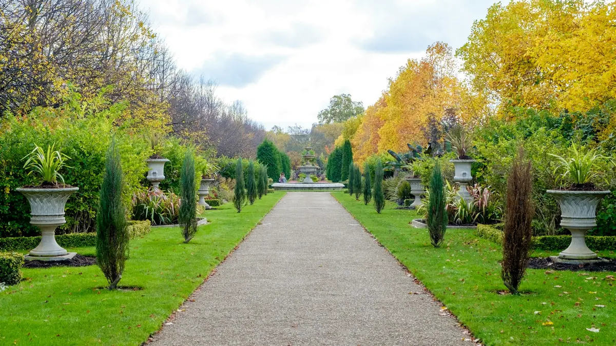 Formal garden path lined with stone urns, clipped shrubs and yellow-leaved trees in Regent's Park