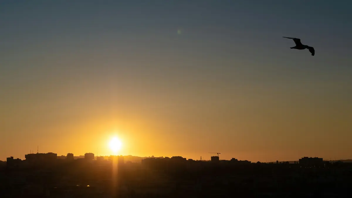 Sunset behind the Lisbon skyline with a gull in flight, viewed from Miradouro da Senhora do Monte