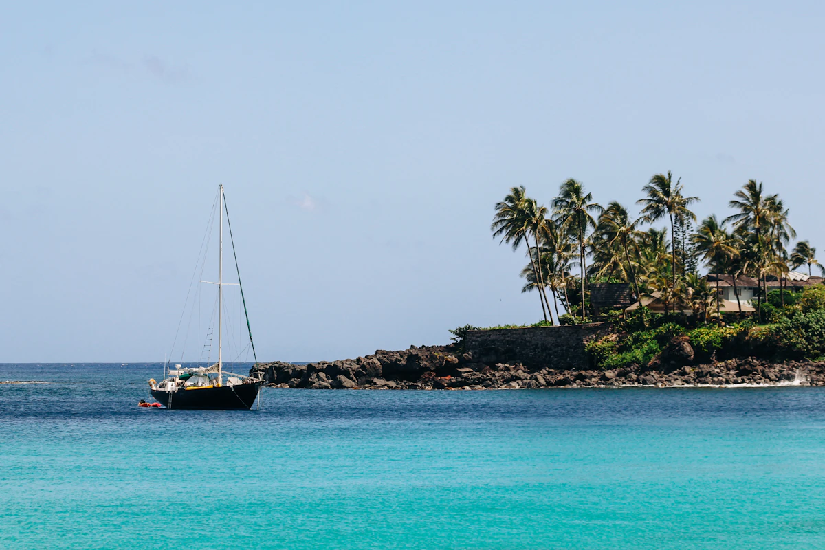 Sailboat anchored off a palm-lined tropical shore
