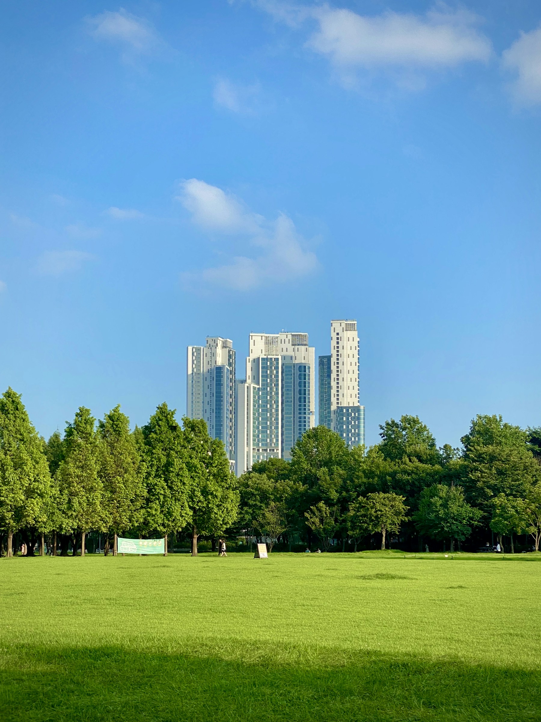 Green lawn and trees in Seoul Forest with high-rise buildings beyond