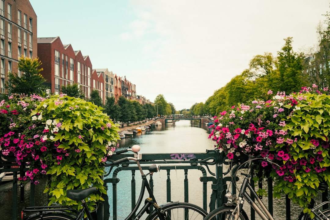 A view to an Amsterdam canal