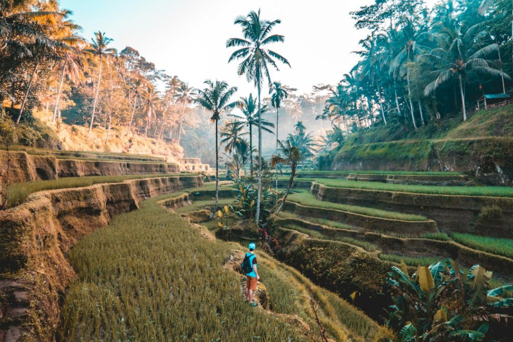 First morning of my backpacking trip around Bali. Woke up at 5 to meet up with a local I had never met which turned out to be the highlight of my trip.