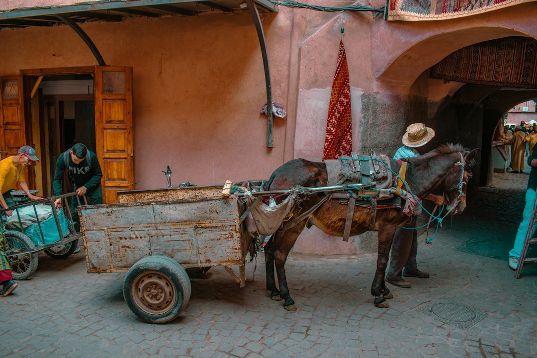 A horse-drawn cart stands in a busy alleyway